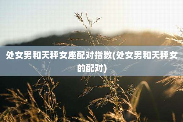 处女男和天秤女座配对指数(处女男和天秤女的配对)
