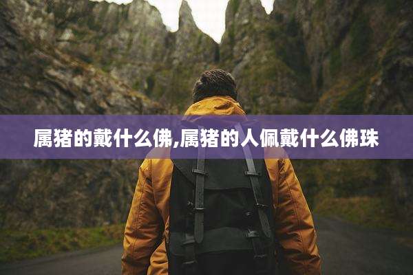 属猪的戴什么佛,属猪的人佩戴什么佛珠