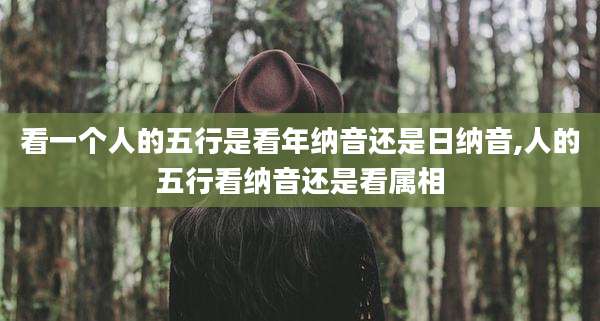 看一个人的五行是看年纳音还是日纳音,人的五行看纳音还是看属相
