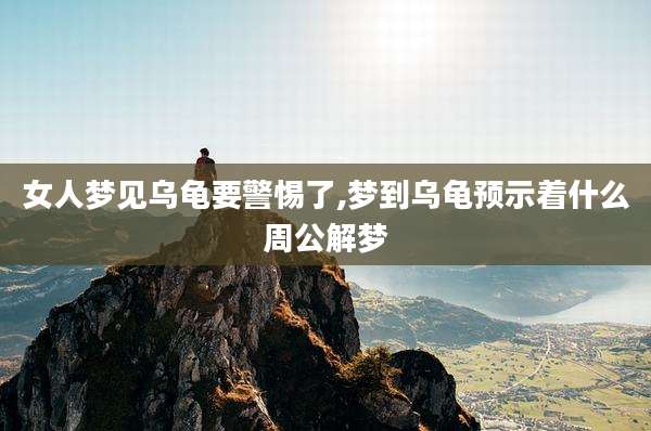 女人梦见乌龟要警惕了,梦到乌龟预示着什么周公解梦