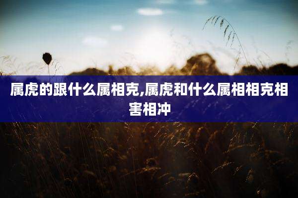 属虎的跟什么属相克,属虎和什么属相相克相害相冲