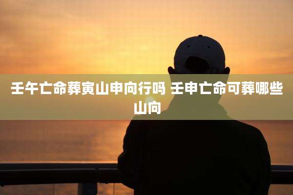 壬午亡命葬寅山申向行吗 壬申亡命可葬哪些山向