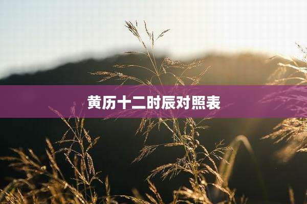 黄历十二时辰对照表