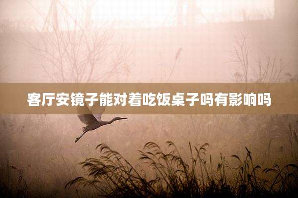 客厅安镜子能对着吃饭桌子吗有影响吗