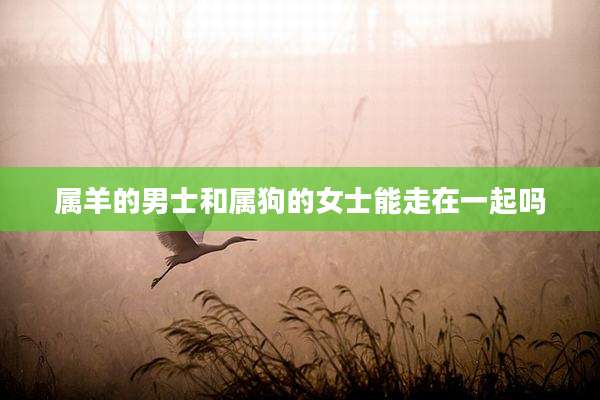 属羊的男士和属狗的女士能走在一起吗