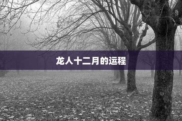 龙人十二月的运程