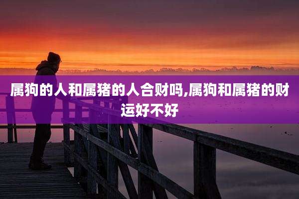 属狗的人和属猪的人合财吗,属狗和属猪的财运好不好