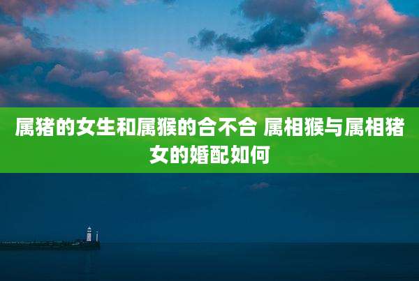 属猪的女生和属猴的合不合 属相猴与属相猪女的婚配如何