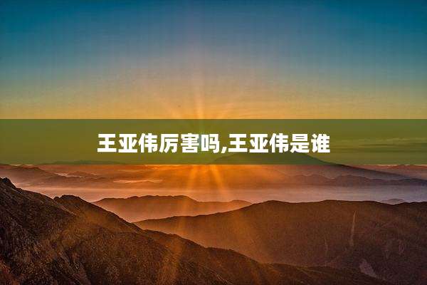 王亚伟厉害吗,王亚伟是谁