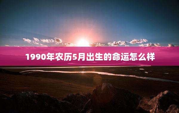 1990年农历5月出生的命运怎么样