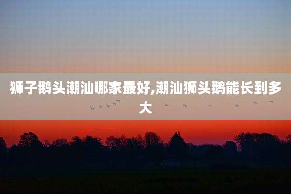狮子鹅头潮汕哪家最好,潮汕狮头鹅能长到多大