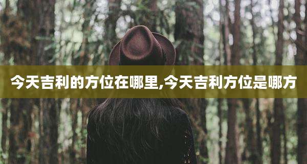 今天吉利的方位在哪里,今天吉利方位是哪方