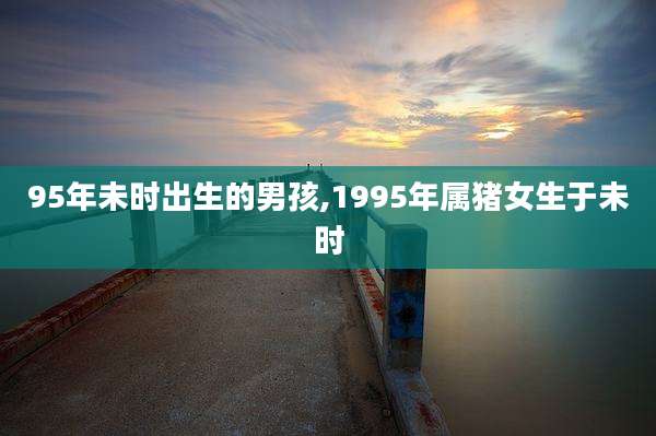 95年未时出生的男孩,1995年属猪女生于未时