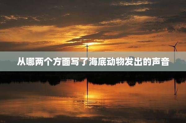 从哪两个方面写了海底动物发出的声音