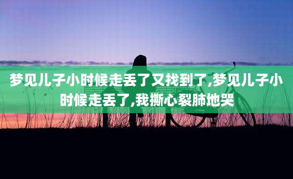 梦见儿子小时候走丢了又找到了,梦见儿子小时候走丢了,我撕心裂肺地哭