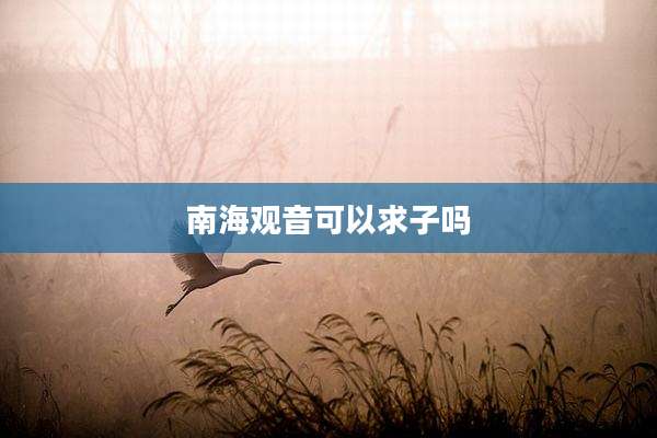 南海观音可以求子吗