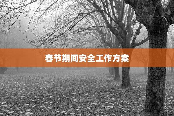 春节期间安全工作方案