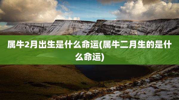 属牛2月出生是什么命运(属牛二月生的是什么命运)