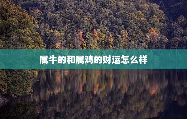 属牛的和属鸡的财运怎么样