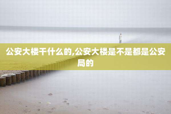 公安大楼干什么的,公安大楼是不是都是公安局的