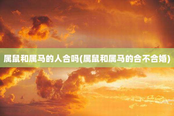 属鼠和属马的人合吗(属鼠和属马的合不合婚)