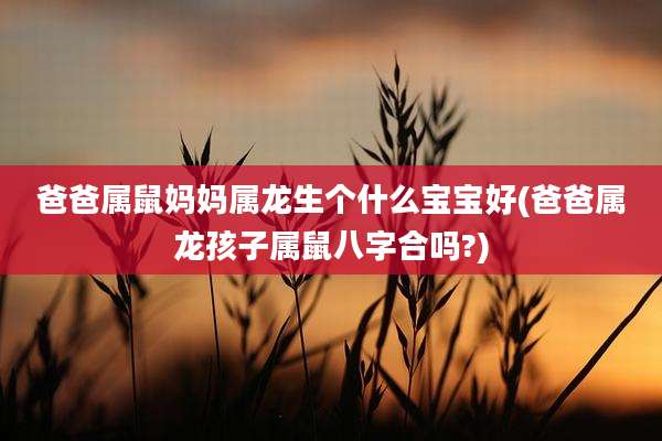 爸爸属鼠妈妈属龙生个什么宝宝好(爸爸属龙孩子属鼠八字合吗?)