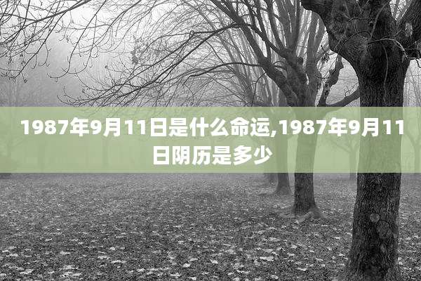 1987年9月11日是什么命运,1987年9月11日阴历是多少