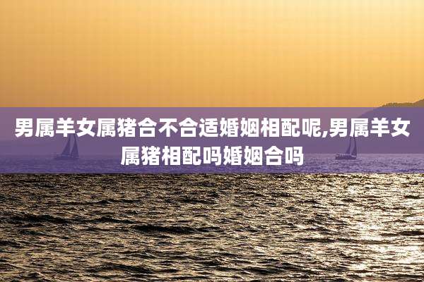 男属羊女属猪合不合适婚姻相配呢,男属羊女属猪相配吗婚姻合吗