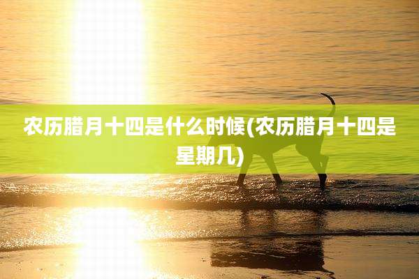 农历腊月十四是什么时候(农历腊月十四是星期几)