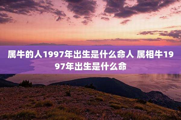 属牛的人1997年出生是什么命人 属相牛1997年出生是什么命