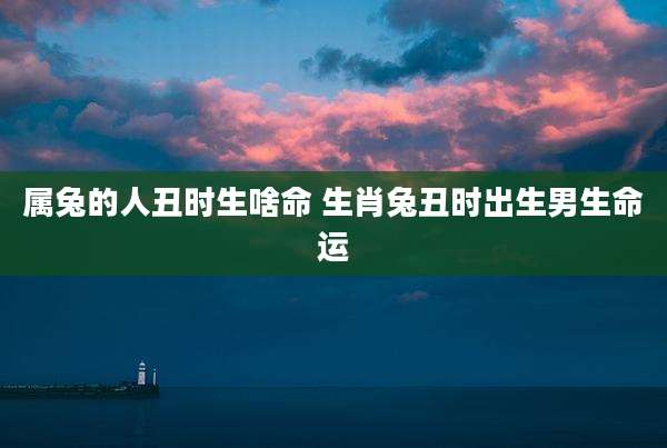 属兔的人丑时生啥命 生肖兔丑时出生男生命运