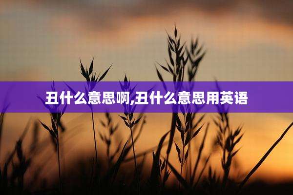 丑什么意思啊,丑什么意思用英语