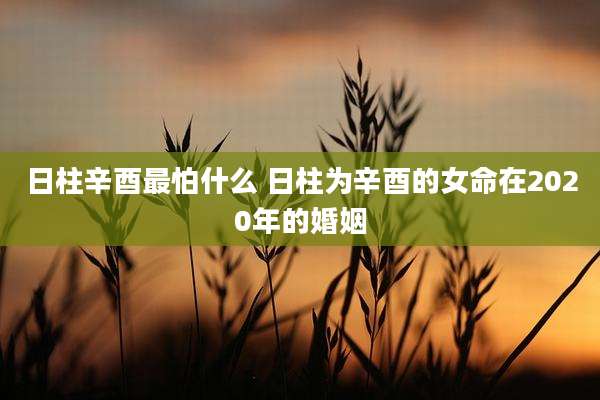 日柱辛酉最怕什么 日柱为辛酉的女命在2020年的婚姻