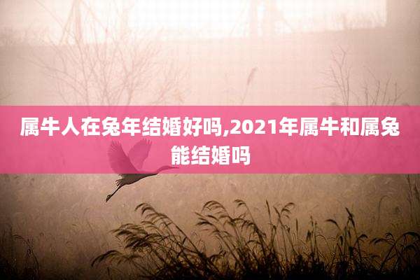 属牛人在兔年结婚好吗,2021年属牛和属兔能结婚吗