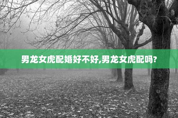 男龙女虎配婚好不好,男龙女虎配吗?