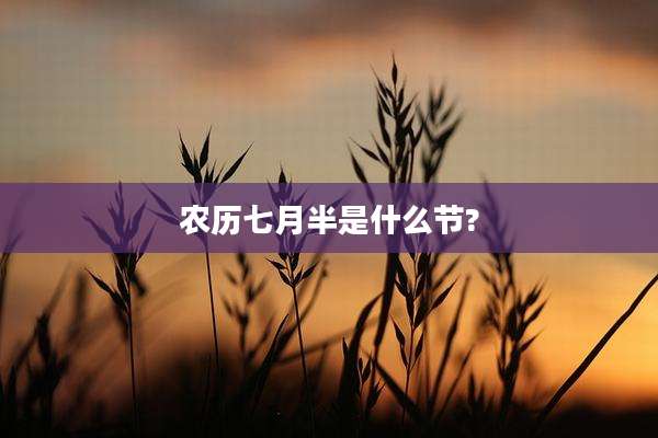农历七月半是什么节?