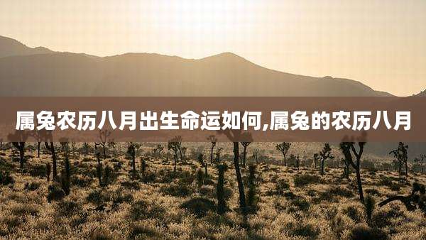 属兔农历八月出生命运如何,属兔的农历八月