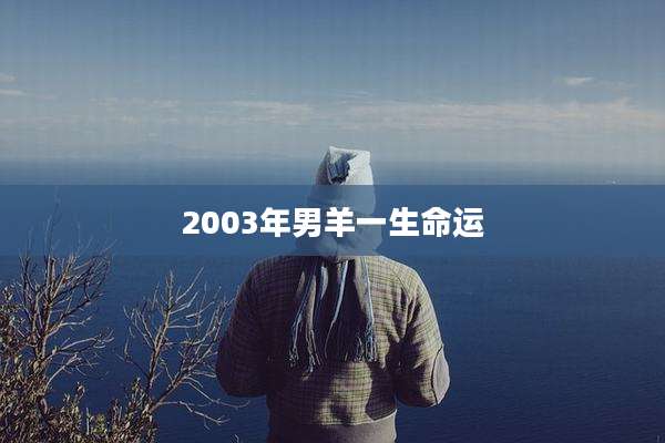 2003年男羊一生命运