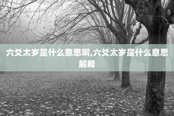 六爻太岁是什么意思啊,六爻太岁是什么意思解释