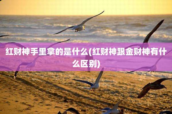 红财神手里拿的是什么(红财神跟金财神有什么区别)