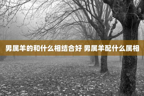 男属羊的和什么相结合好 男属羊配什么属相