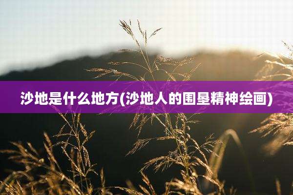 沙地是什么地方(沙地人的围垦精神绘画)