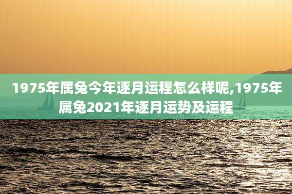 1975年属兔今年逐月运程怎么样呢,1975年属兔2021年逐月运势及运程