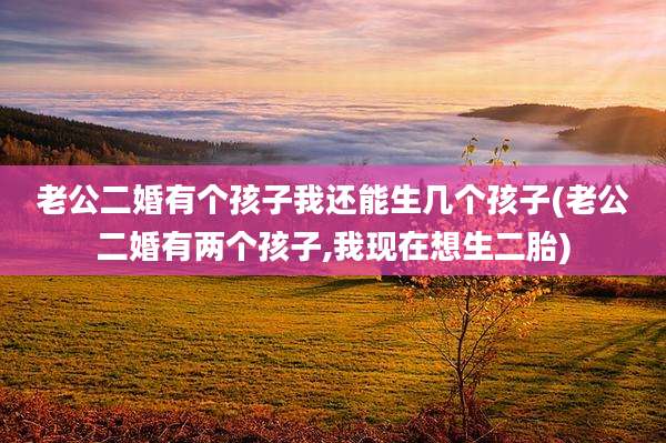 老公二婚有个孩子我还能生几个孩子(老公二婚有两个孩子,我现在想生二胎)