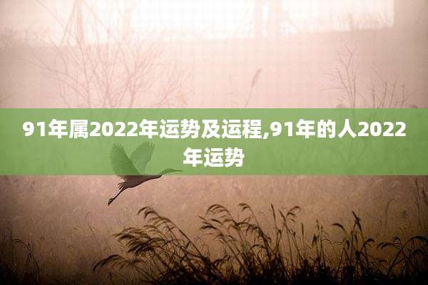 91年属2022年运势及运程,91年的人2022年运势