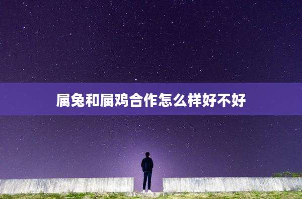 属兔和属鸡合作怎么样好不好