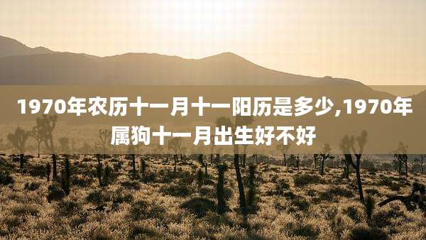 1970年农历十一月十一阳历是多少,1970年属狗十一月出生好不好