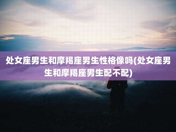 处女座男生和摩羯座男生性格像吗(处女座男生和摩羯座男生配不配)