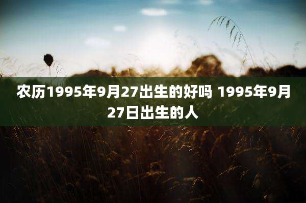 农历1995年9月27出生的好吗 1995年9月27日出生的人