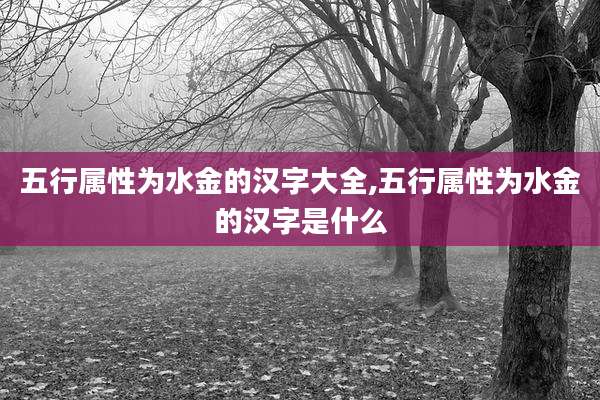 五行属性为水金的汉字大全,五行属性为水金的汉字是什么